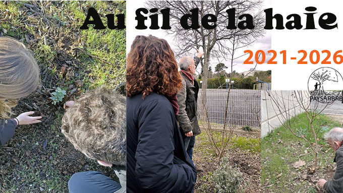 bandeauPaysarbre2026 copie2.jpg